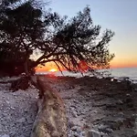 Lejlighed Enis