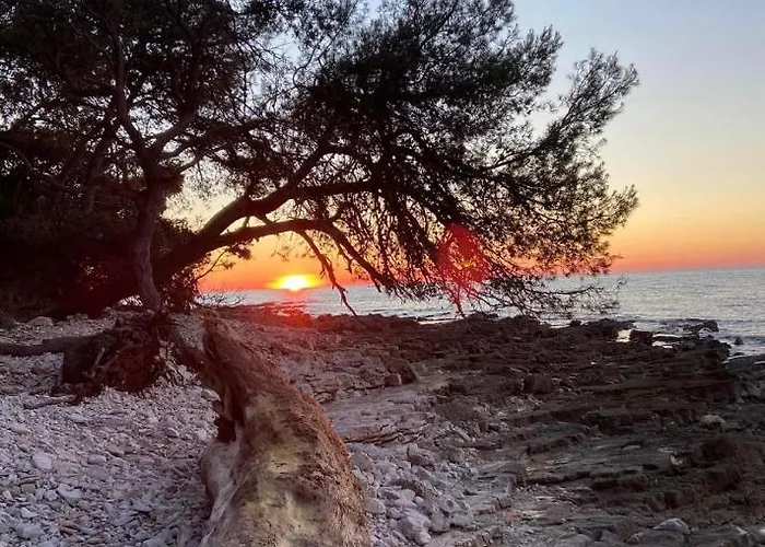 Διαμέρισμα Enis