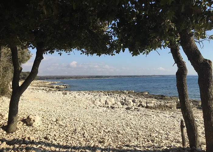 Διαμέρισμα Enis