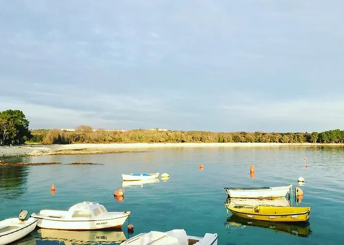 Enis 아파트 바르바리가