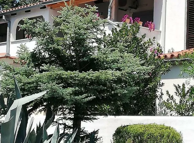 Διαμέρισμα Enis