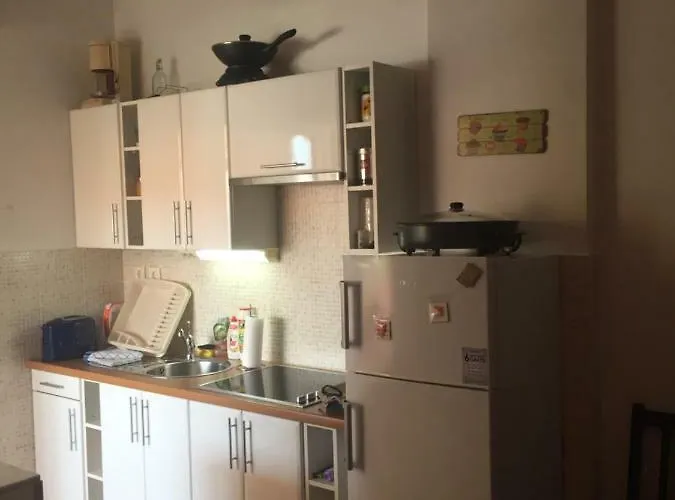 Enis 바르바리가