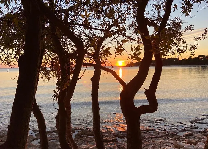 Enis Appartement *